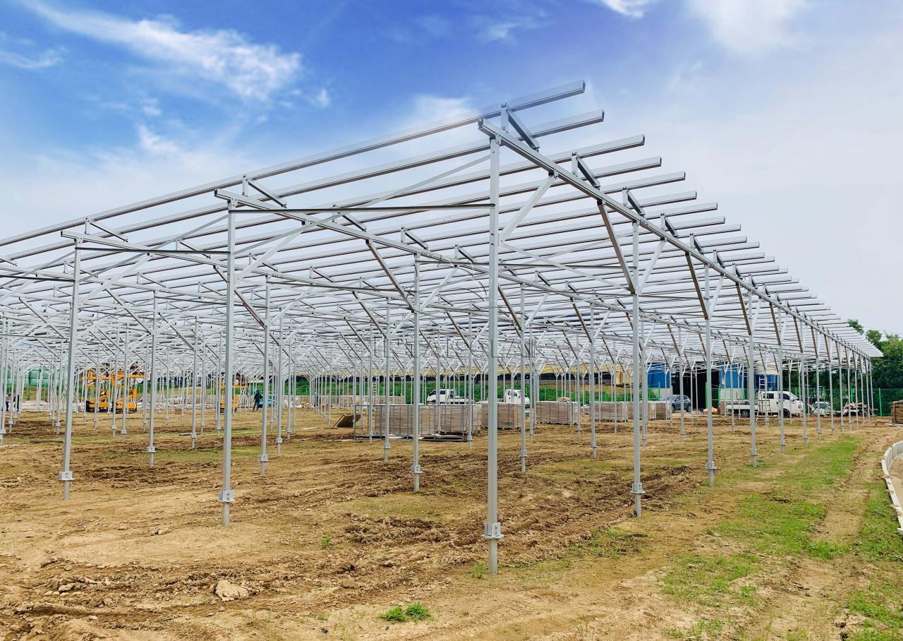 发电种植两不误，福建安泰新能源助力韩国农光互补光伏项目