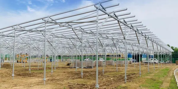 发电种植两不误，福建安泰新能源助力韩国农光互补光伏项目