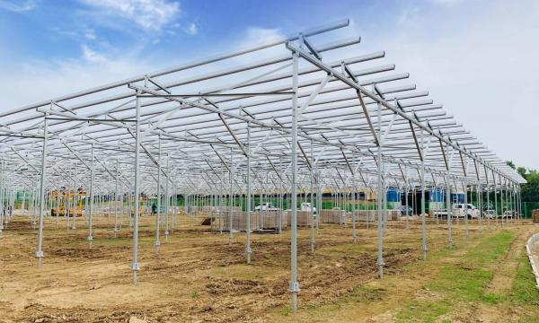 发电种植两不误，福建安泰新能源助力韩国农光互补光伏项目