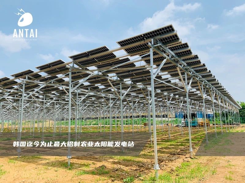 光伏+农业，安泰新能源支架系统助力引领农业发展新模式