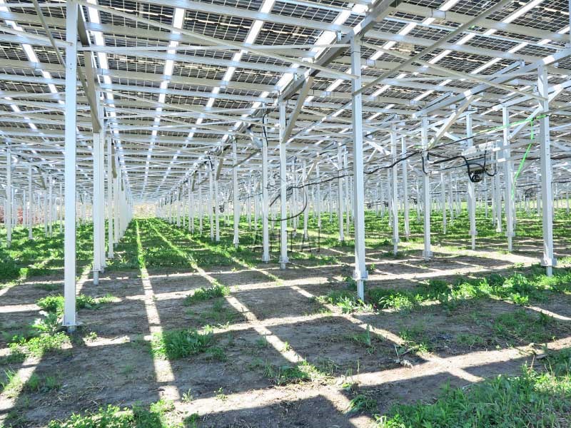 光伏+农业，安泰新能源支架系统助力引领农业发展新模式