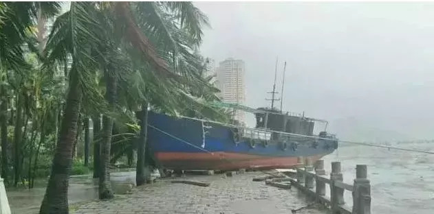 无惧台风|保威光伏支架对182/210组件的风洞测试