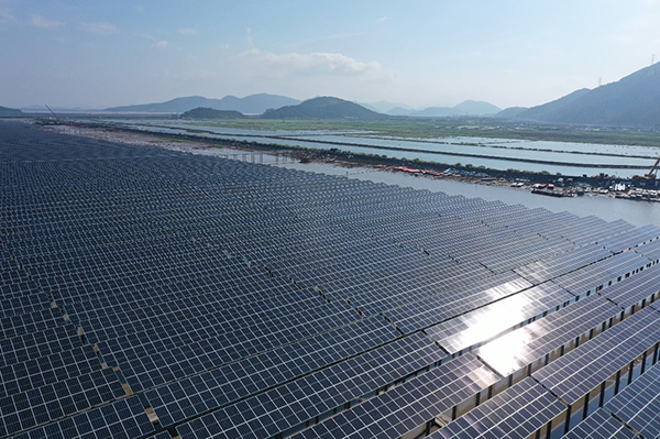 “烟花”过境依旧安稳运行！中信博供货的这个项目上《新闻联播》