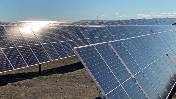 加拿大最大的691MW光伏电站，采用Nextracker太阳能跟踪器