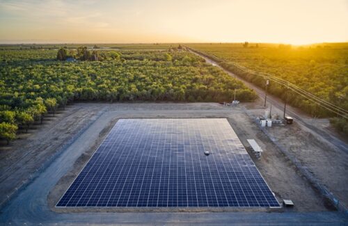 加州4个太阳能项目 组件直接铺设在地面上