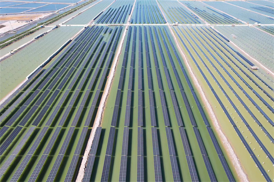 决胜四季度！这家光伏支架龙头再度“鸣枪”