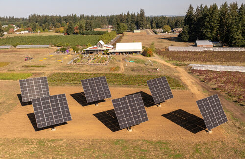 太阳能支架促使农光互补项目成为可能