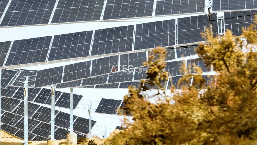 开启“发电量×生态量”双增长纪元——擎天晴索网柔性支架沙戈荒系列