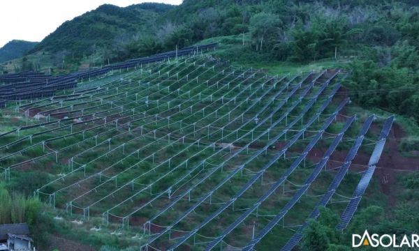 自动草稿