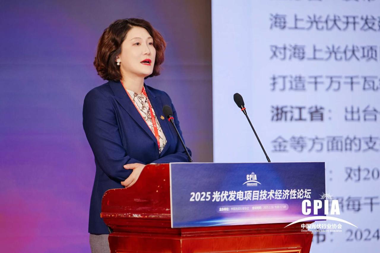 西北院李娜：推进海上光伏革新，强化新材料、新结构等多元化技术应用