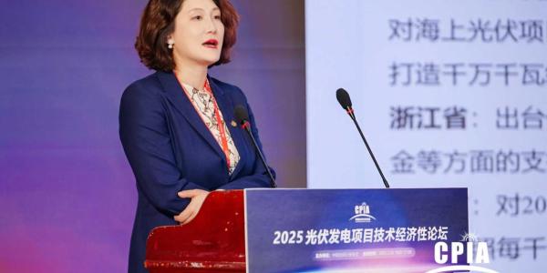 西北院李娜：推进海上光伏革新，强化新材料、新结构等多元化技术应用