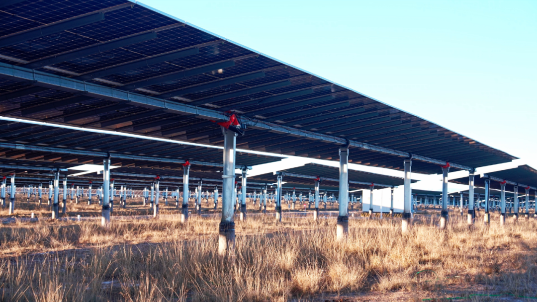 亚洲、拉美、中东…天合跟踪沙戈荒解决方案以领先的电气化、智能化技术赋能全球