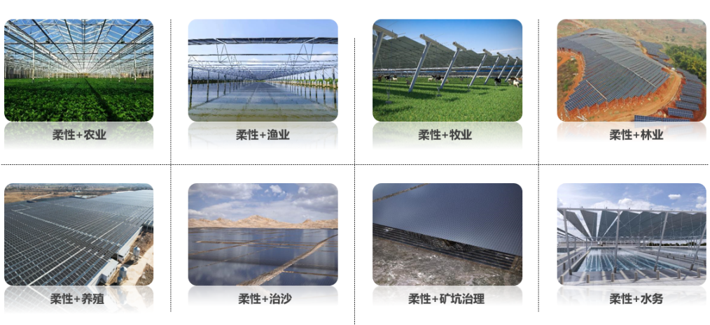 从孤烟大漠到光伏绿海，中信博光伏支架解决方案重塑沙戈荒绿电生态