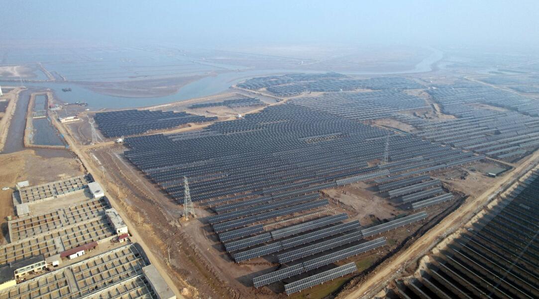 品质与服务的保障|天合跟踪领航东营400MW渔光互补项目交付