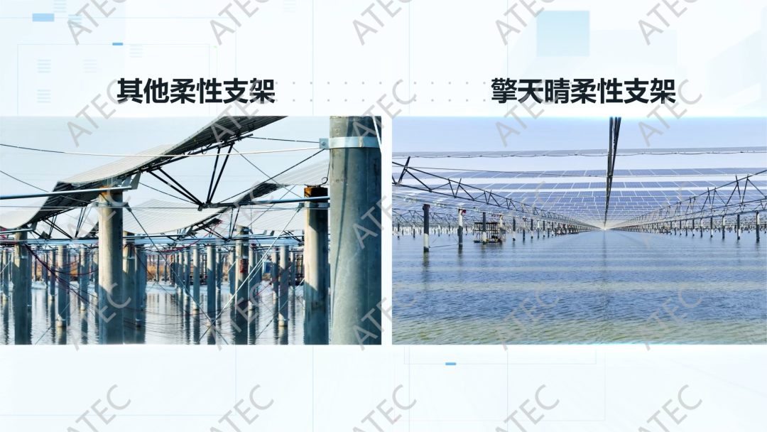 自动草稿 自动草稿