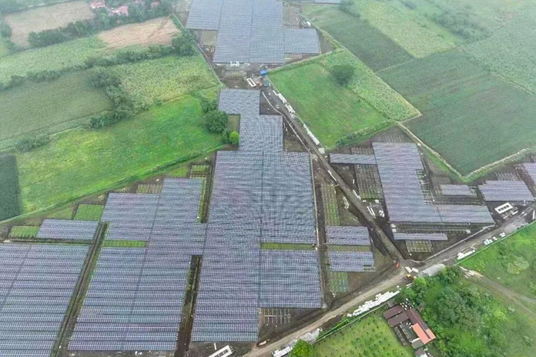 自动草稿 自动草稿