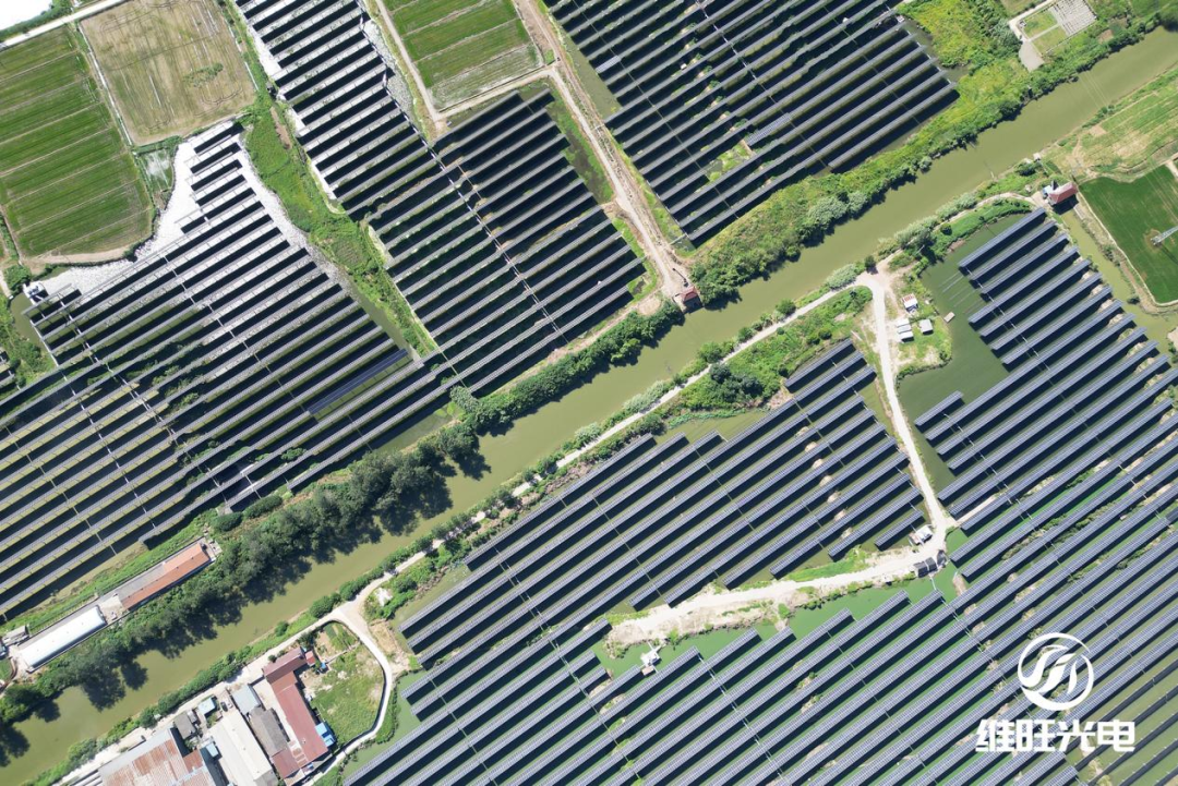 最新国家实证数据发布！跟踪支架优势再添权威认证