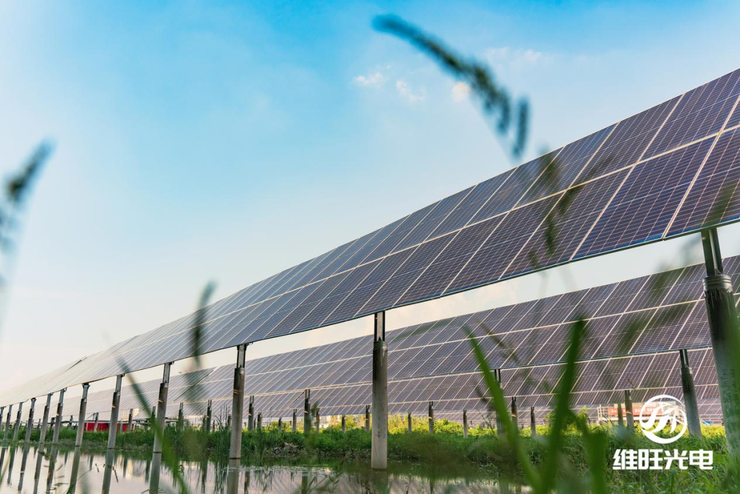 最新国家实证数据发布！跟踪支架优势再添权威认证