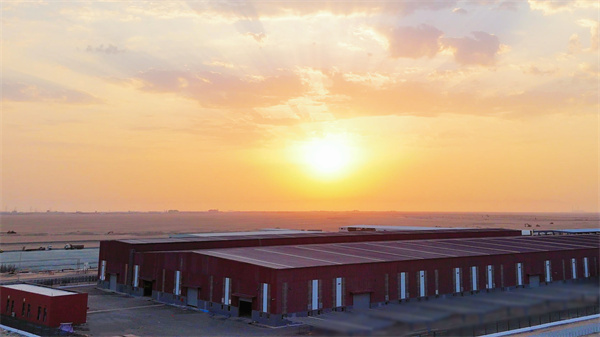 自动草稿 自动草稿